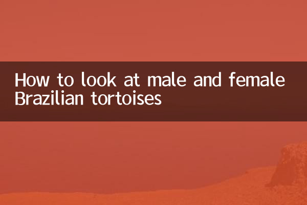 ブラジルリクガメのオスとメスの見方