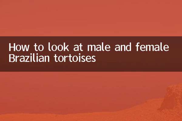 Como olhar para tartarugas brasileiras machos e fêmeas