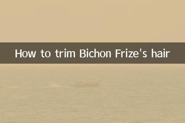 Comment couper les cheveux du Bichon Frise