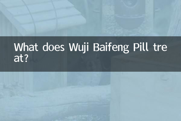 Was behandelt die Wuji Baifeng Pille?