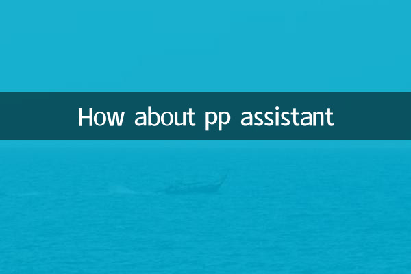 ¿Qué tal el asistente de pp?