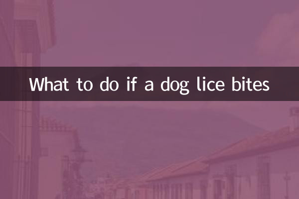 O que fazer se um cachorro picadas