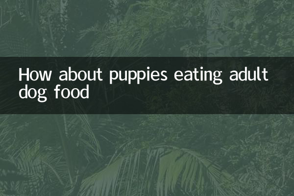 Que tal filhotes comendo comida de cachorro adulto