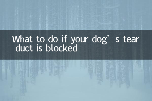 Que faire si le canal lacrymal de votre chien est bloqué