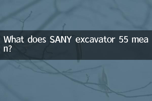 Was bedeutet SANY Bagger 55?