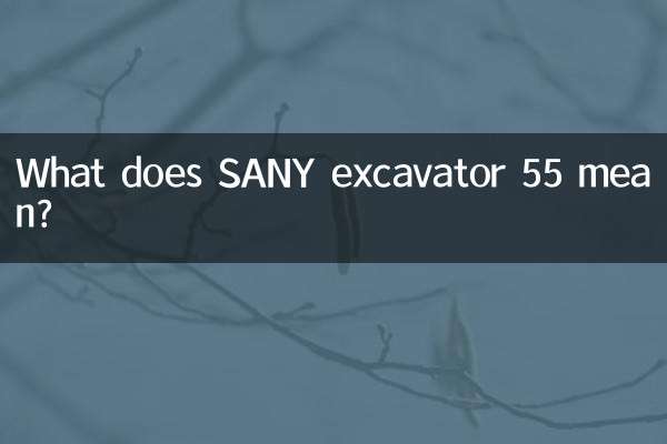 Was bedeutet SANY Bagger 55?