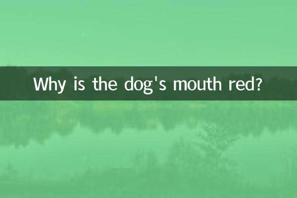 Pourquoi la gueule du chien est-elle rouge ?