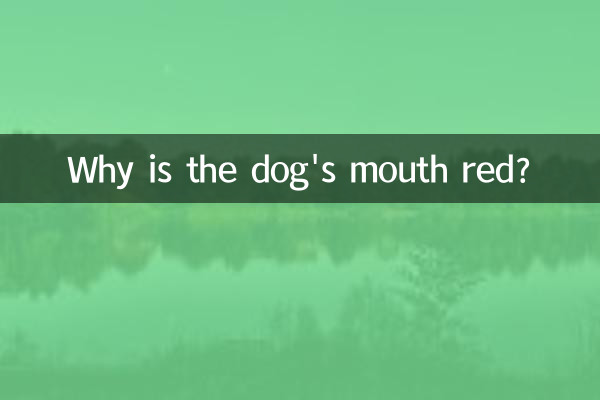 犬の口はなぜ赤いのですか?