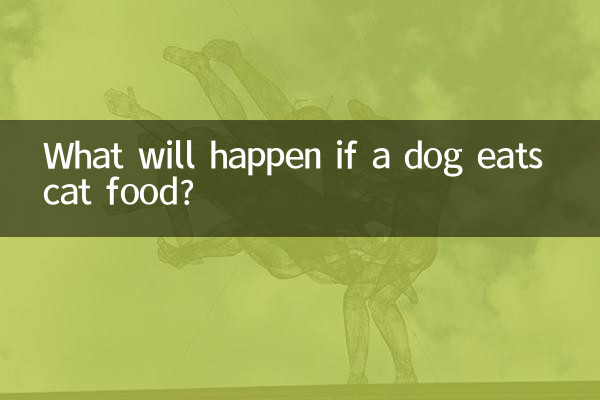 O que acontecerá se um cachorro comer comida de gato?