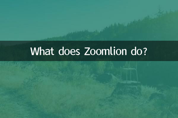 Cosa fa Zoomlion?