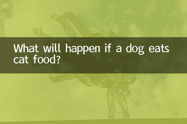 O que acontecerá se um cachorro comer comida de gato?