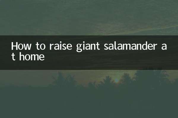 Como criar salamandra gigante em casa