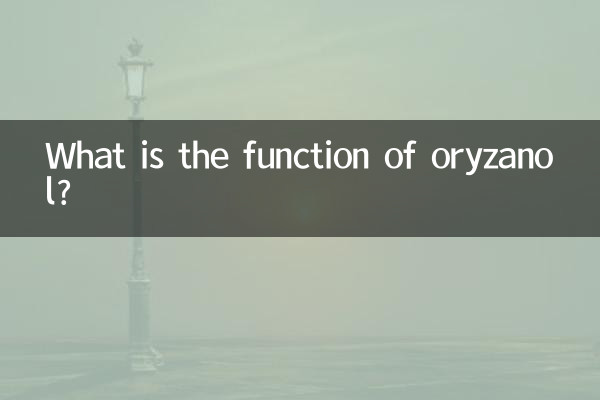 Welche Funktion hat Oryzanol?