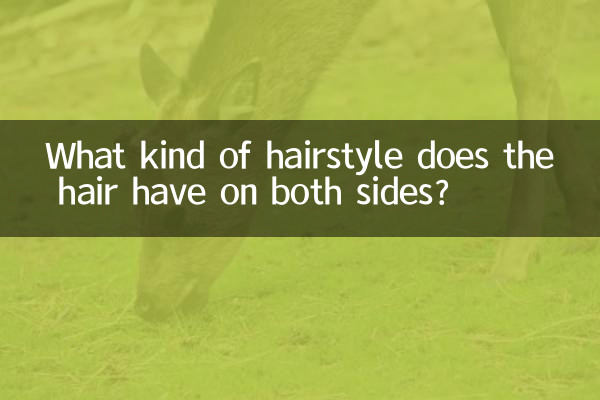 Welche Frisur haben die Haare auf beiden Seiten?