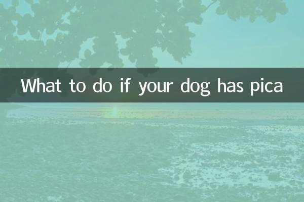 Cosa fare se il tuo cane ha la pica