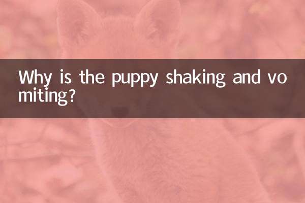 Por que o cachorrinho está tremendo e vomitando?