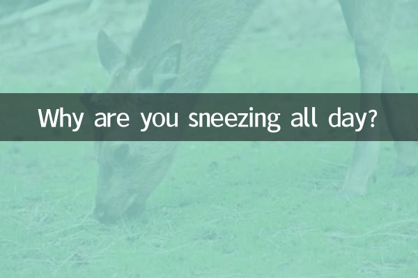 Why are you sneezing all day?