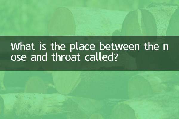 鼻子和喉咙之间叫什么