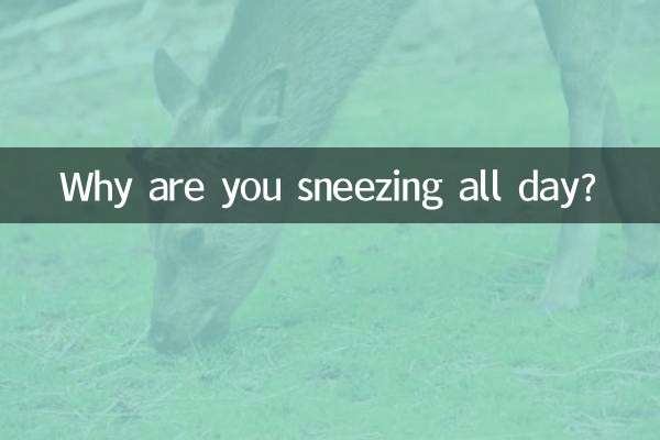 Why are you sneezing all day?