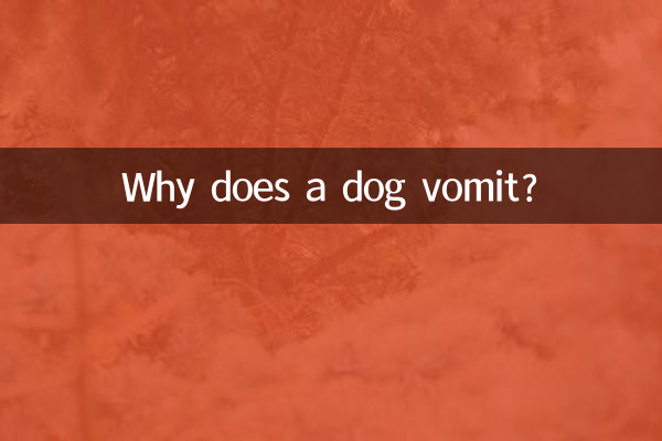 Por que um cachorro vomita?