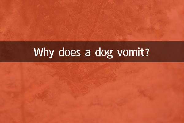Por que um cachorro vomita?