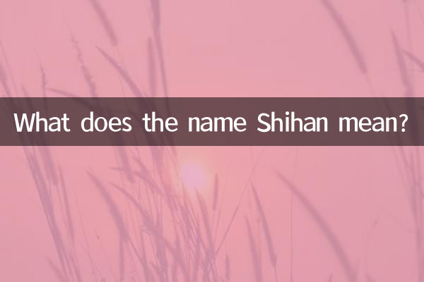 시한이라는 이름은 무엇을 의미하나요?