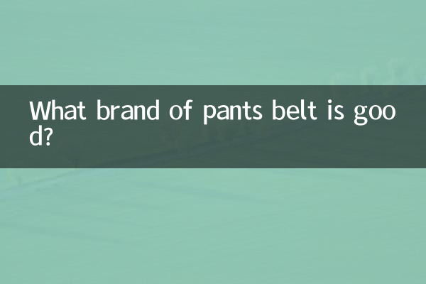 پینٹ بیلٹ کا کون سا برانڈ اچھا ہے؟