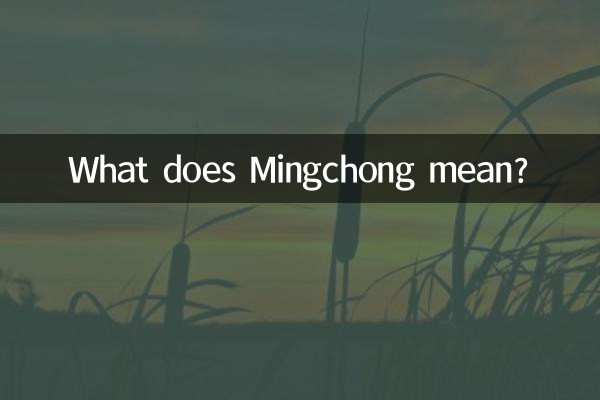 明冲是什么意思