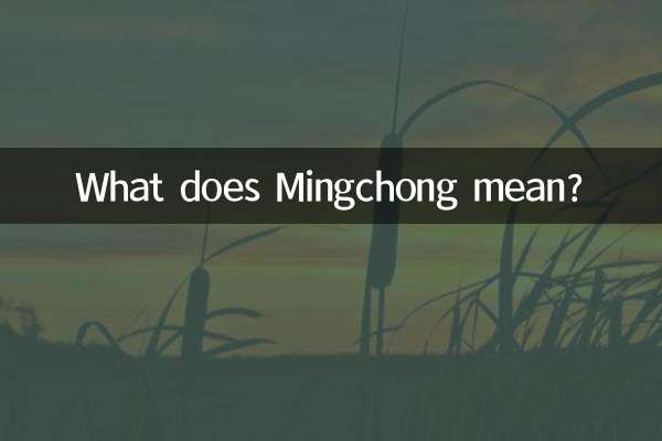 Que veut dire Mingchong ?
