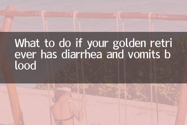 골든 리트리버가 피를 토하는 경우 어떻게 해야 할까요?