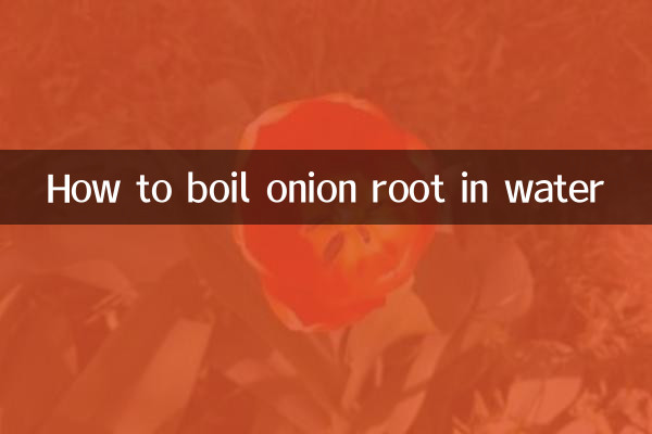 양파뿌리를 물에 삶는 방법