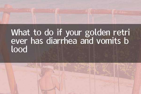 Was tun, wenn Ihr Golden Retriever blutiges Erbrechen hat?