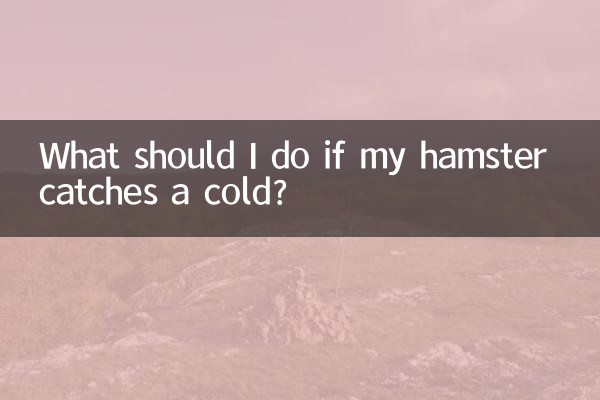 আমার হ্যামস্টার ঠান্ডা হলে আমার কি করা উচিত?