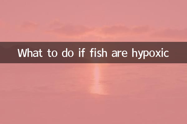 魚兒缺氧怎麼辦