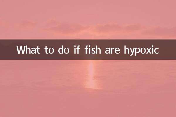 魚兒缺氧怎麼辦