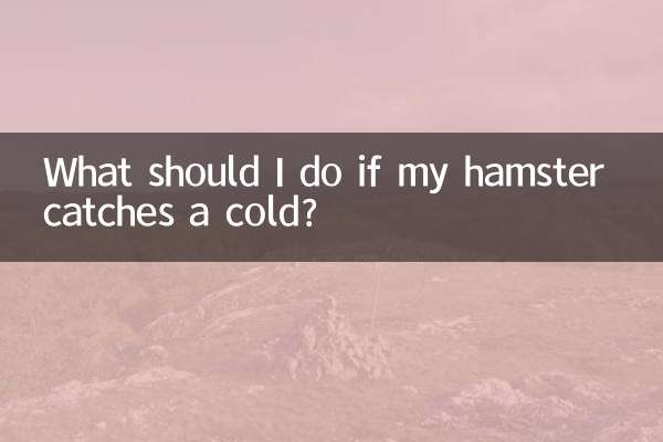 আমার হ্যামস্টার ঠান্ডা হলে আমার কি করা উচিত?