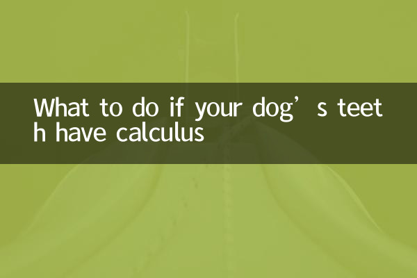 狗狗牙齒有結石怎麼辦