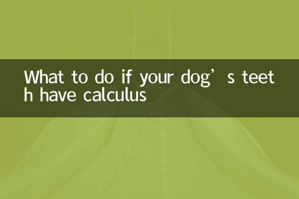 狗狗牙齒有結石怎麼辦