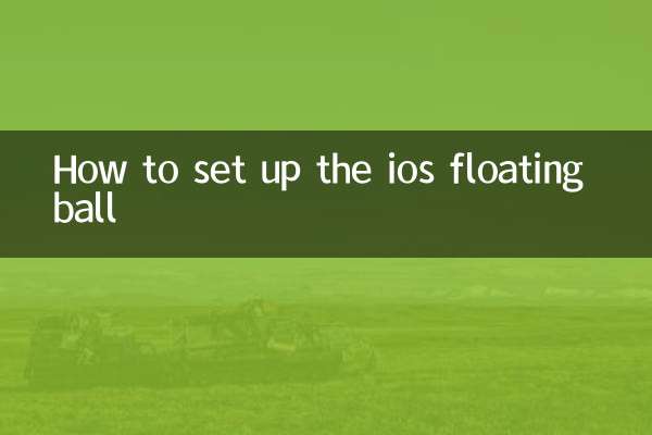 iOS 플로팅 볼 설정 방법