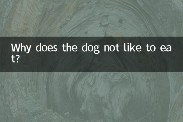Por que o cachorro não gosta de comer?