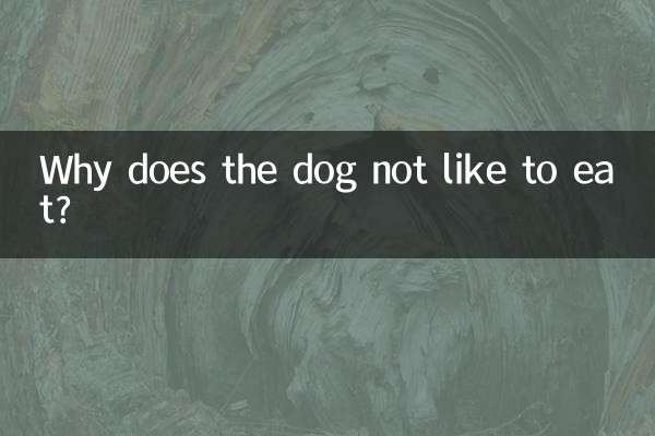 Por que o cachorro não gosta de comer?