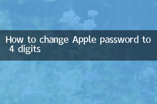 So ändern Sie das Apple-Passwort auf 4 Ziffern