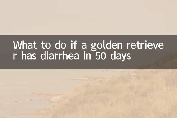 ماذا تفعل إذا أصيب كلب جولدن ريتريفر بالإسهال خلال 50 يومًا؟