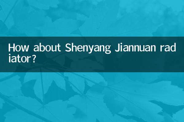 ¿Qué tal el radiador Shenyang Jiannuan?