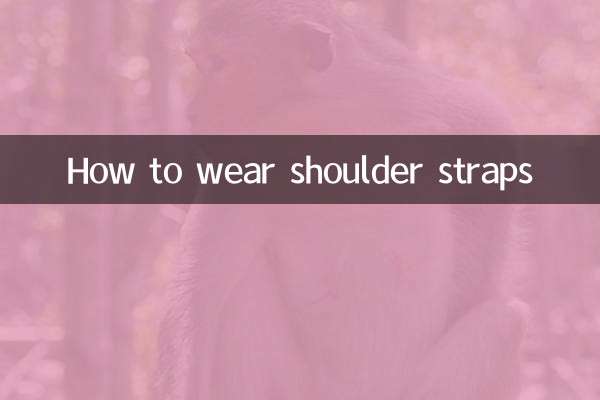 Wie trägt man Schultergurte?