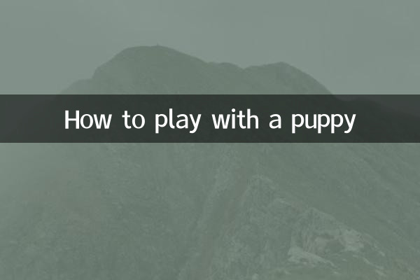 Wie man mit einem Welpen spielt