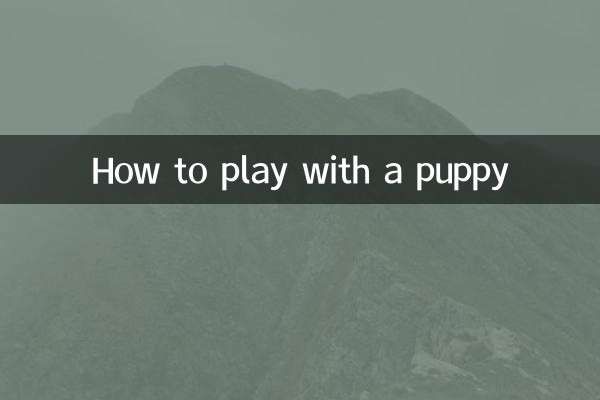 How to play with a puppy