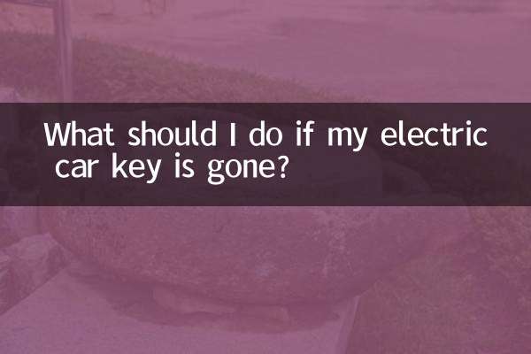 電気自動車のキーを紛失した場合はどうすればよいですか?