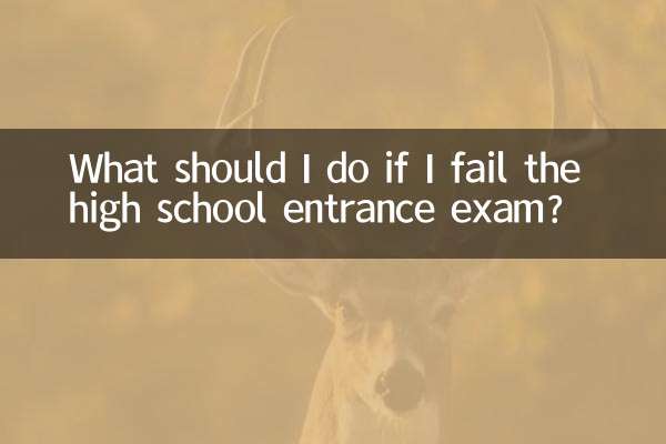 高中考不上怎么办