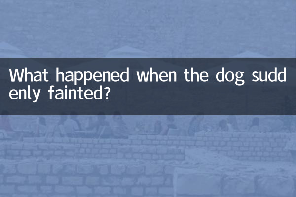 কুকুরটি হঠাৎ অজ্ঞান হয়ে গেলে কী হল?